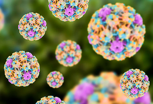 Virus hpv What is