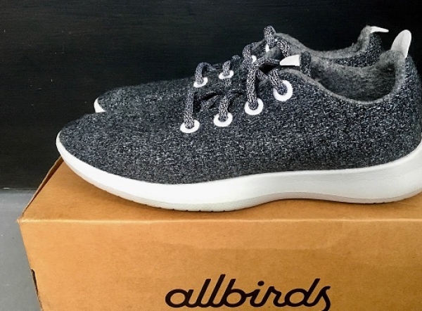 allbirds shoe company get 27ebd 301d1