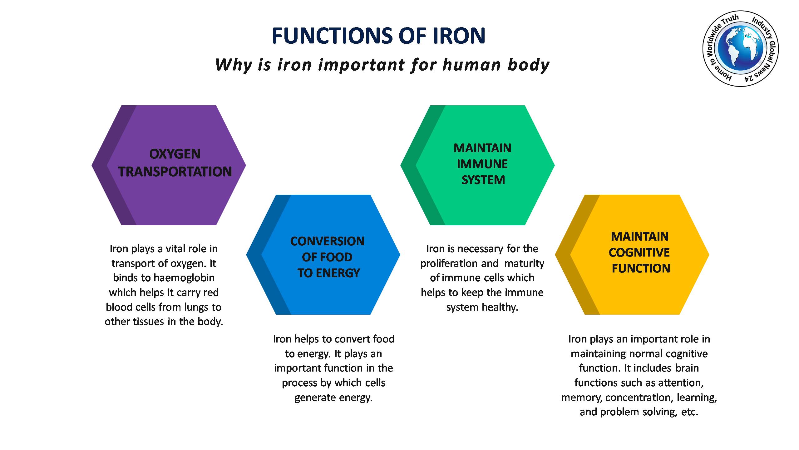 FUNCTION-OF-IRON