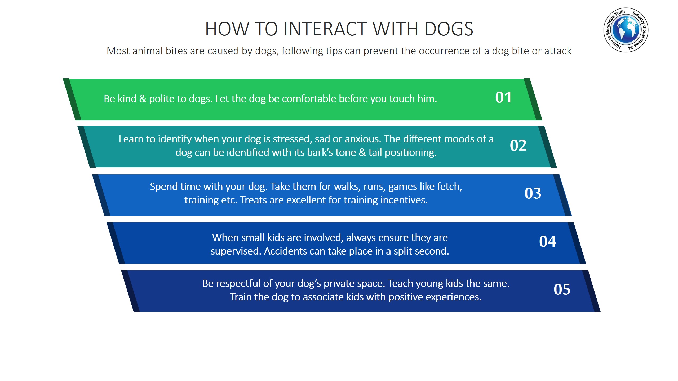 How to interact with dogs