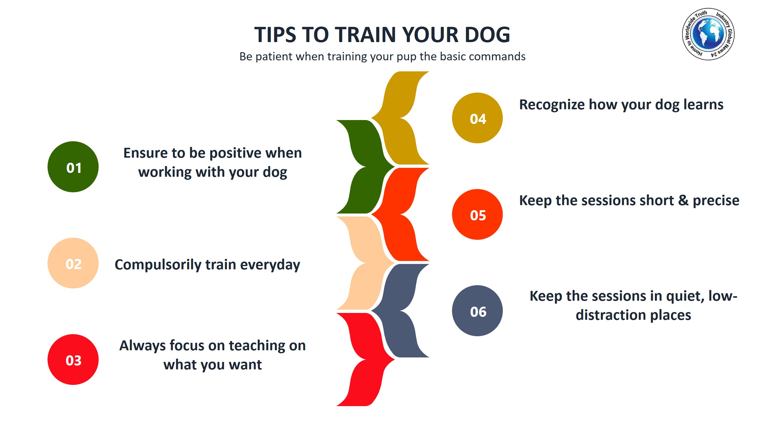 Tips to train your dog