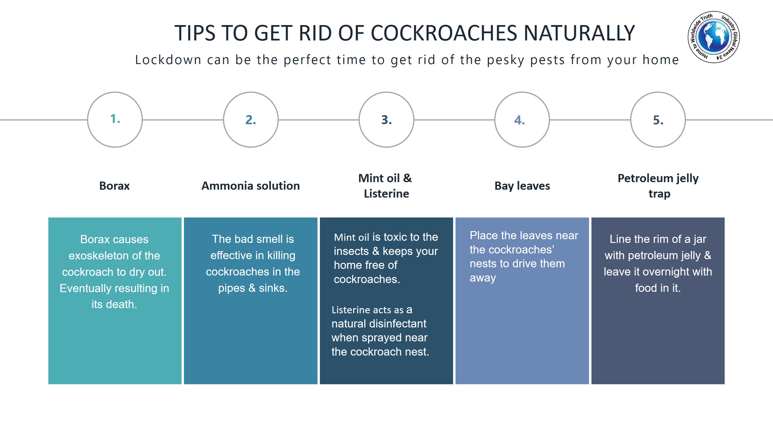 Tips to get rid of cockroaches naturally